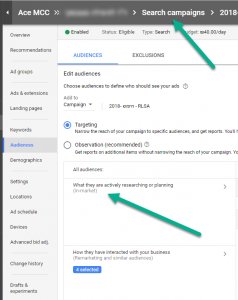 in market audience for search campaigns