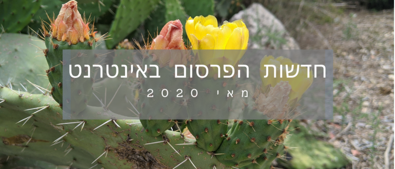 חדשות הפרסום באינטרנט