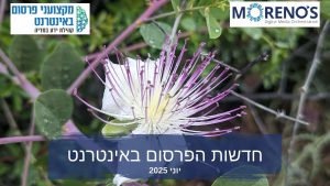 חדשות הפרסום באינטרנט - יוני 2025