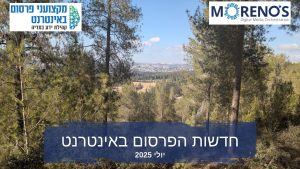 חדשות הפרסום באינטרנט - יולי 2025