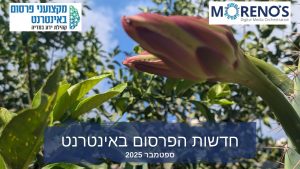 חדשות הפרסום באינטרנט - ספטמבר 2025