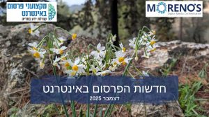 חדשות הפרסום באינטרנט דצמבר 2025