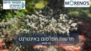 חדשות הפרסוםן באינטרנט יוני 2026